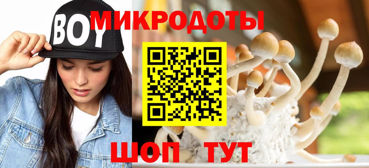 Галлюциногенные грибы MAGIC MUSHROOMS  Вход с VPN  закладки  Псилоцибиновые грибы Psilocybe  Кимры 