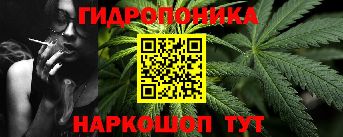 Бошки Шишки индика Кимры